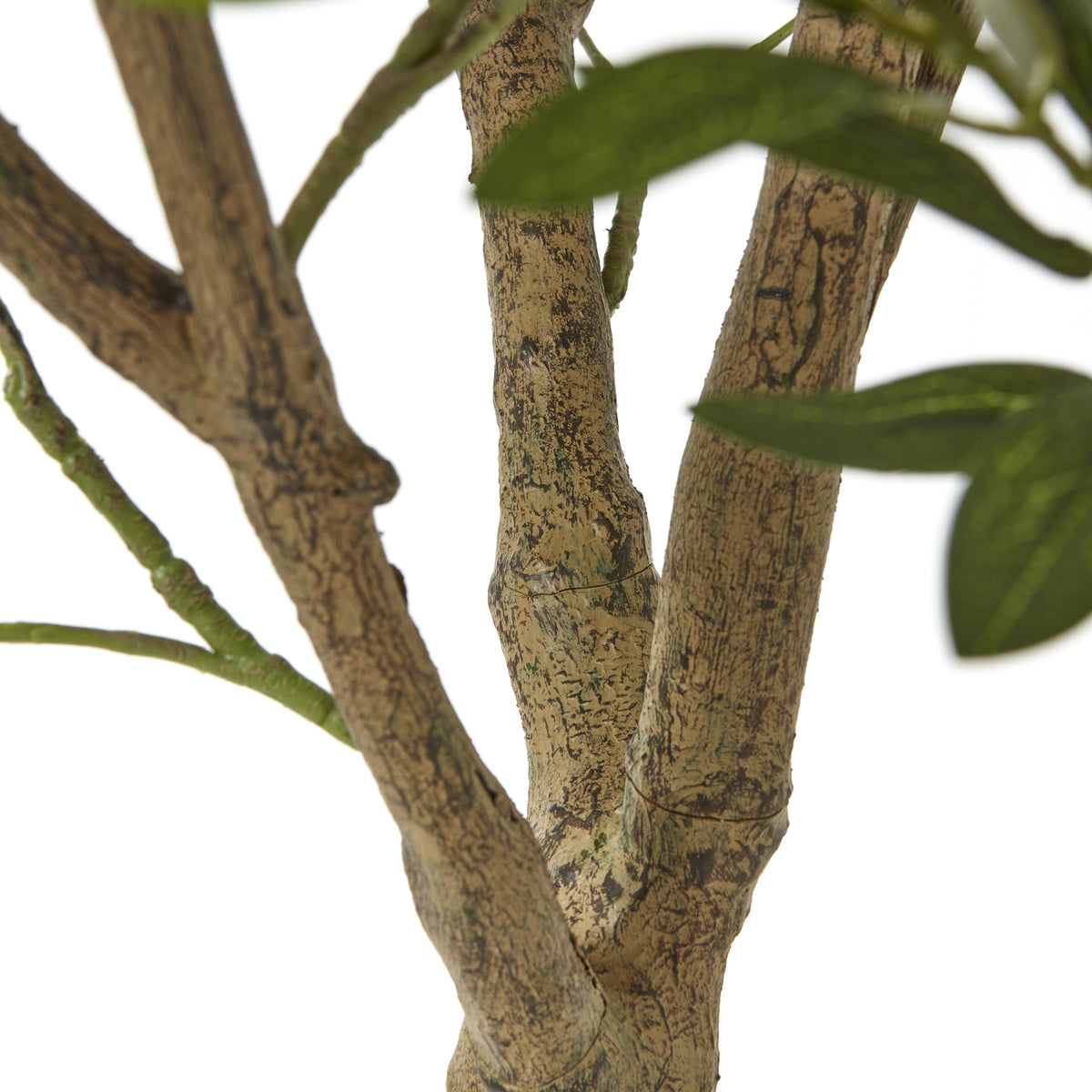 Apulia Olive Tree In White Pot Artificial Tree H240cm room setting