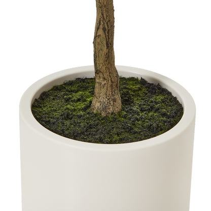 Apulia Olive Tree In White Pot Artificial Tree H150cm close up