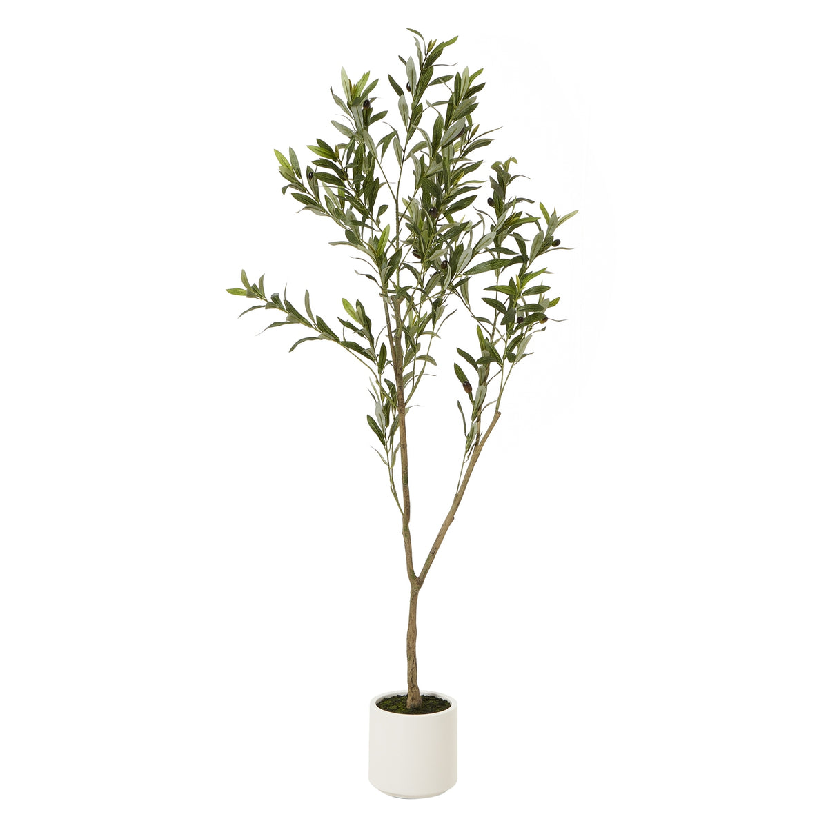 Apulia Olive Tree In White Pot Artificial Tree H150cm