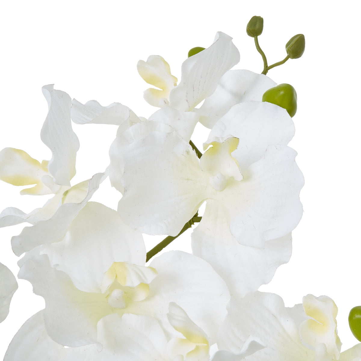 White Vanda Orchid Plant In Ceramic Pot Artificial Orchid detail