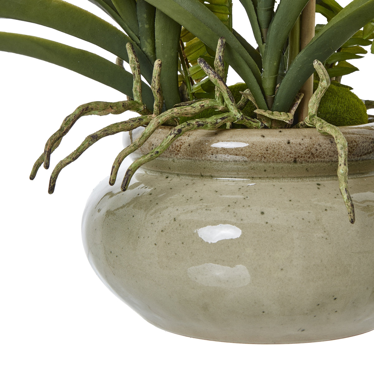 White Vanda Orchid Plant In Ceramic Pot Artificial Orchid room setting