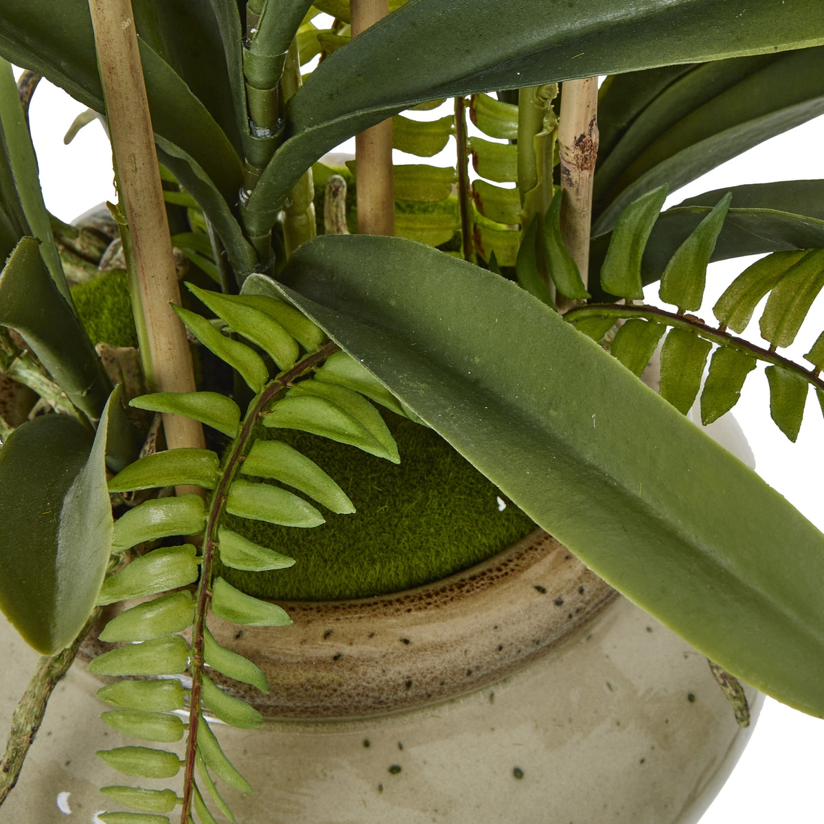 White Vanda Orchid Plant In Ceramic Pot Artificial Orchid close up