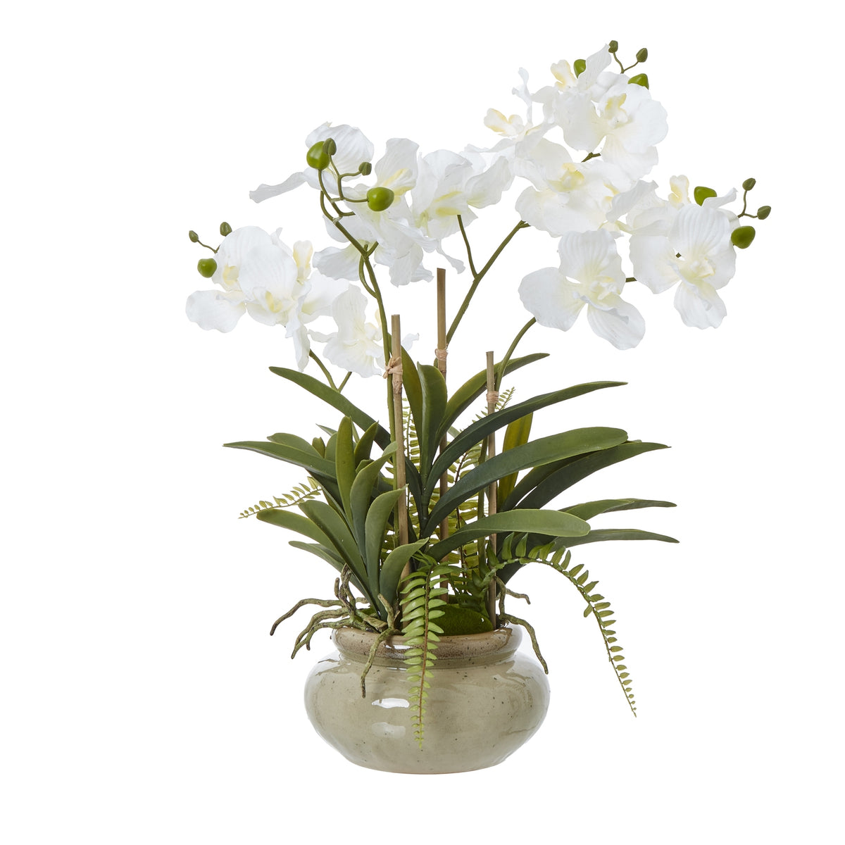 White Vanda Orchid Plant In Ceramic Pot Artificial Orchid H68cm