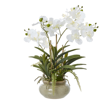 White Vanda Orchid Plant In Ceramic Pot Artificial Orchid H68cm