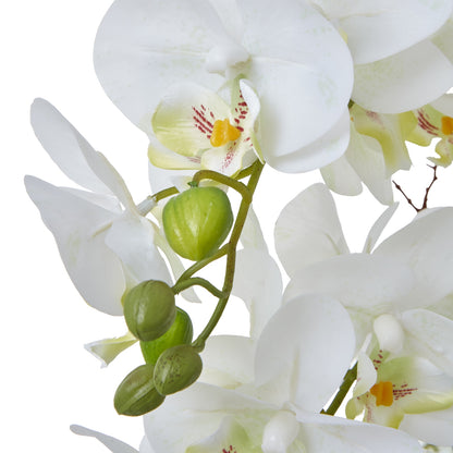 Large White Orchid In Ceramic Pot Artificial Orchid detail