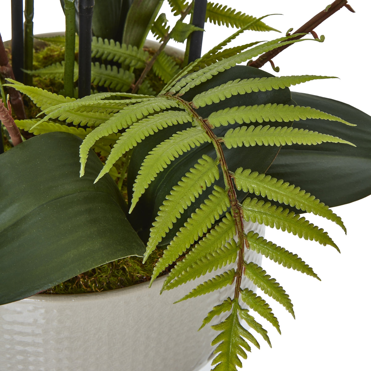 Large White Orchid In Ceramic Pot Artificial Orchid room setting