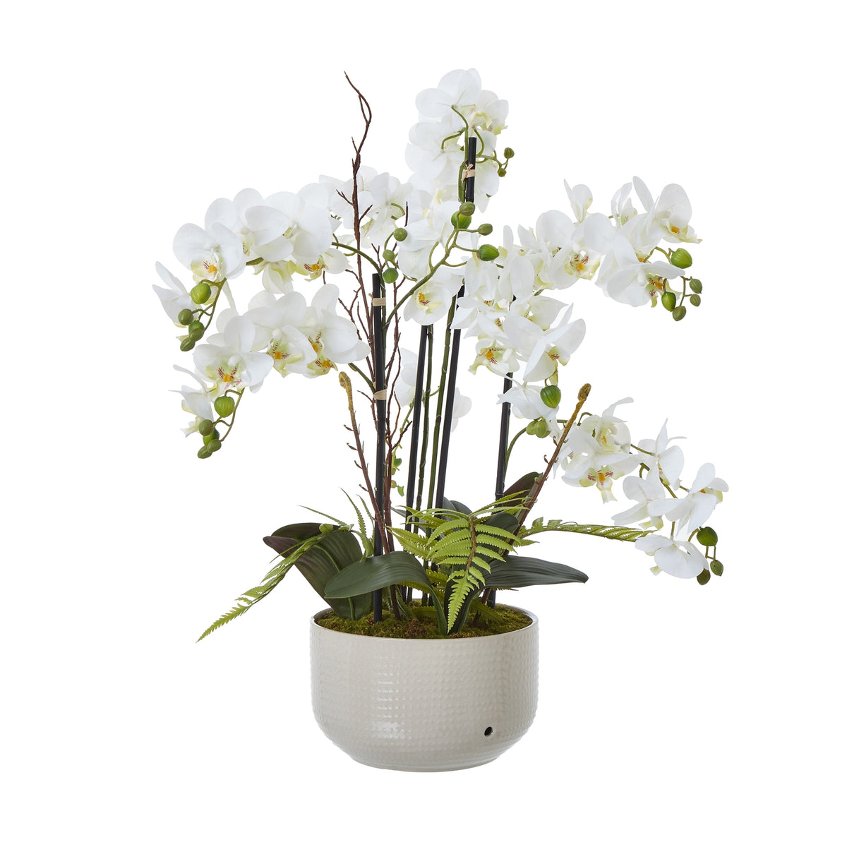 Large White Orchid In Ceramic Pot Artificial Orchid H76cm