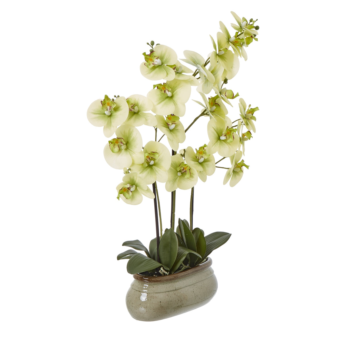 Large Green Orchid In Ceramic Pot Artificial Orchid detail