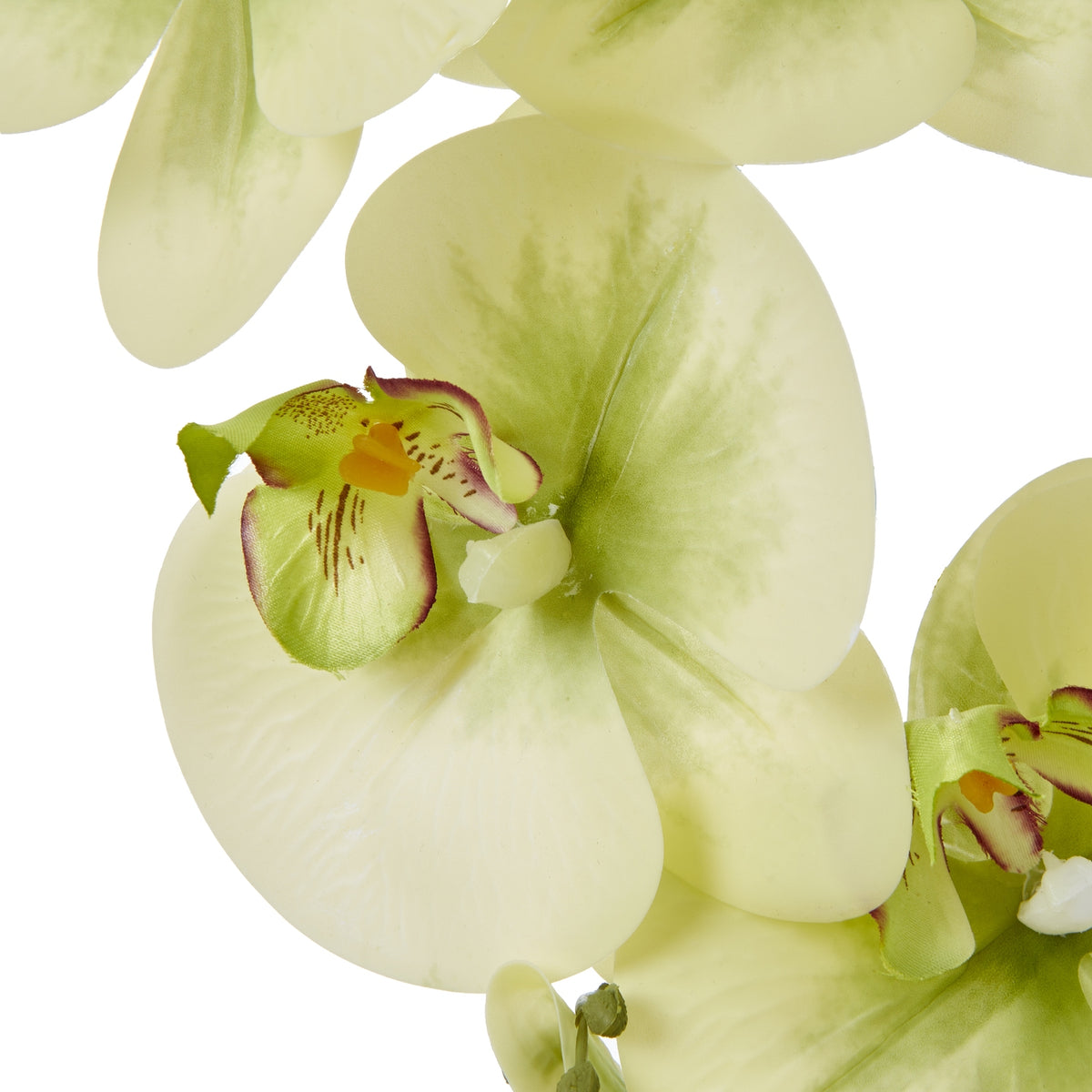 Large Green Orchid In Ceramic Pot Artificial Orchid room setting