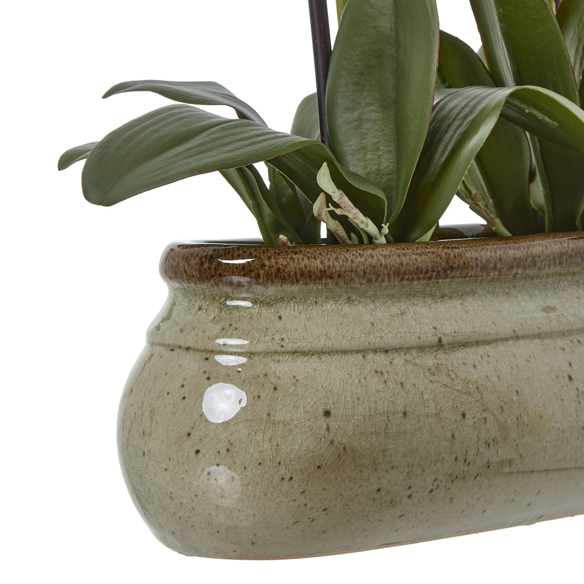 Large Green Orchid In Ceramic Pot Artificial Orchid close up