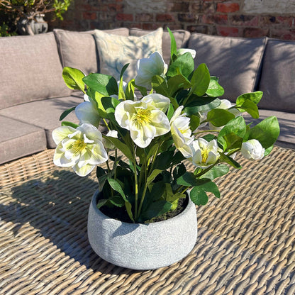 White Hellebore Plant In Grey Pot Artificial Flower detail