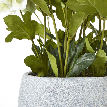 White Hellebore Plant In Grey Pot Artificial Flower close up