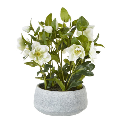 White Hellebore Plant In Grey Pot Artificial Flower H42cm