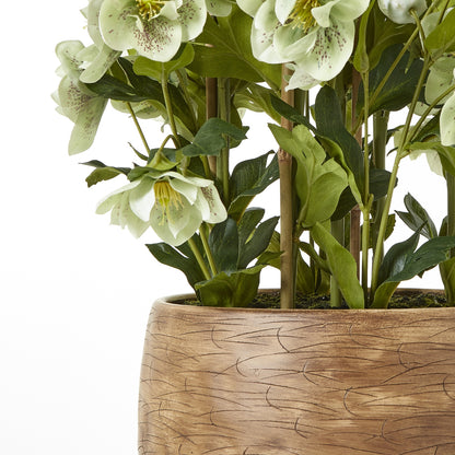 Large Green Hellebore In Taupe Pot Artificial Flower close up