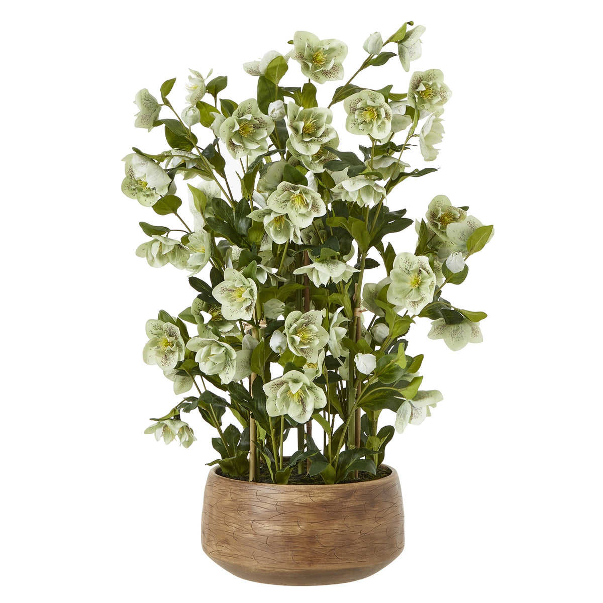 Large Green Hellebore In Taupe Pot Artificial Flower H85cm
