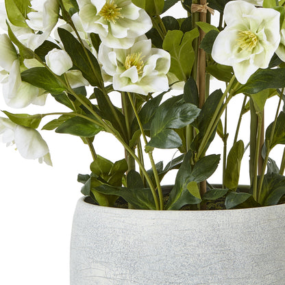 Large White Hellebore In Grey Pot Artificial Flower close up