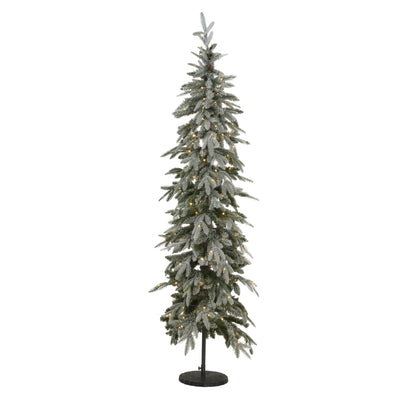 Slim snowy woodland Christmas tree snow-dusted branch detail