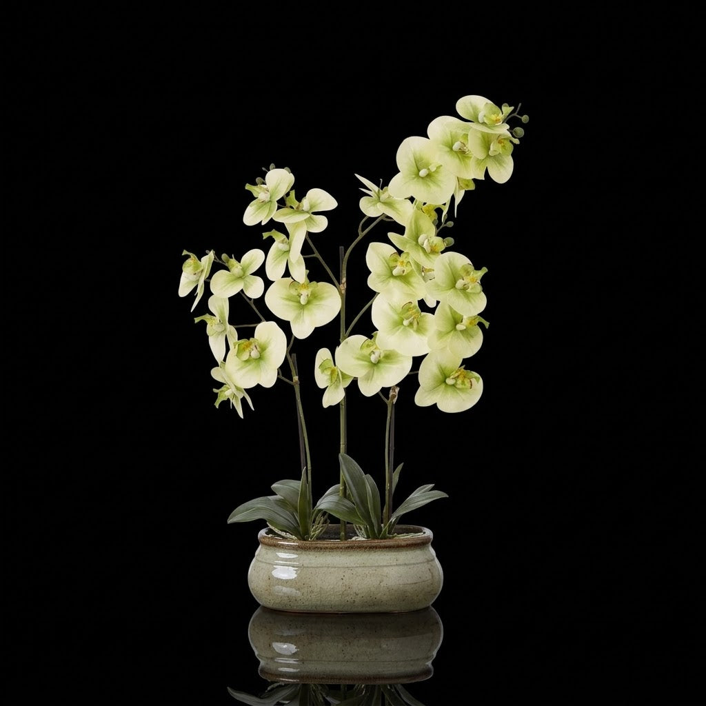 Large Green Orchid In Ceramic Pot | Artificial Orchid | H73cm