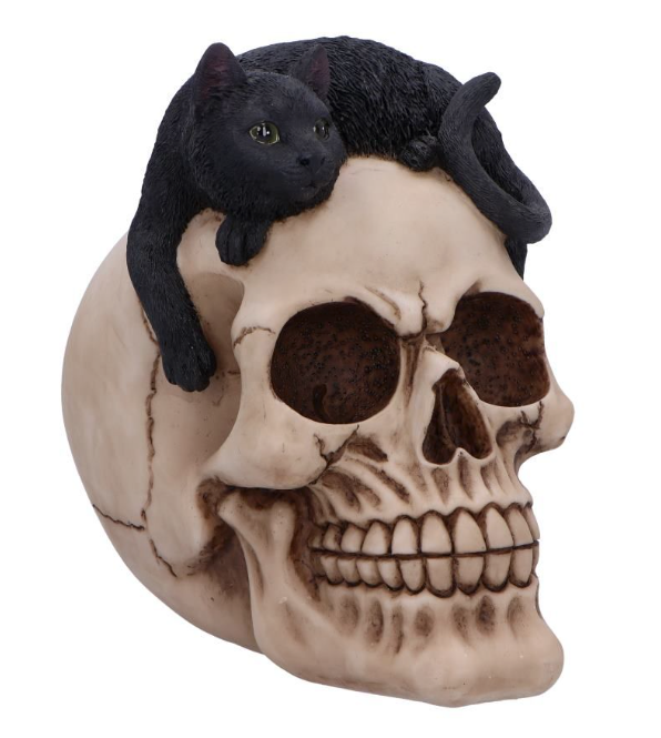 Nemesis Now Forever Friend Black Cat on Skull Resin Figurine 14.5cm | Gothic Cat Skull Ornament | U6725A24