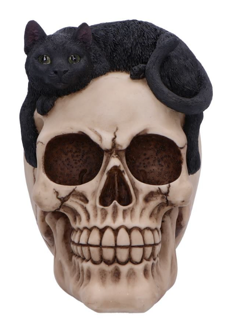 Nemesis Now Forever Friend Black Cat on Skull Resin Figurine 14.5cm | Gothic Cat Skull Ornament | U6725A24