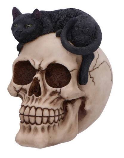Nemesis Now Forever Friend Black Cat on Skull Resin Figurine 14.5cm | Gothic Cat Skull Ornament | U6725A24