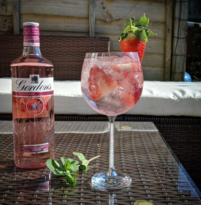 Swarovski Crystal Gin Glasses Pair | Czech Crystal Hand Cut | Silver Plated Stem | Luxury Gin Gift