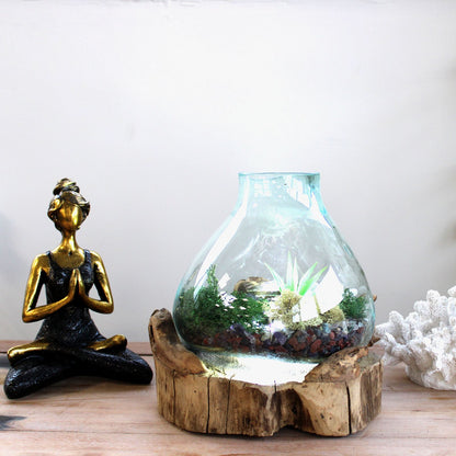Molten Glass Large Fish Tank on Driftwood | 3.7 Litre | Light Cavity | UK LED Bulb | 30cm | New