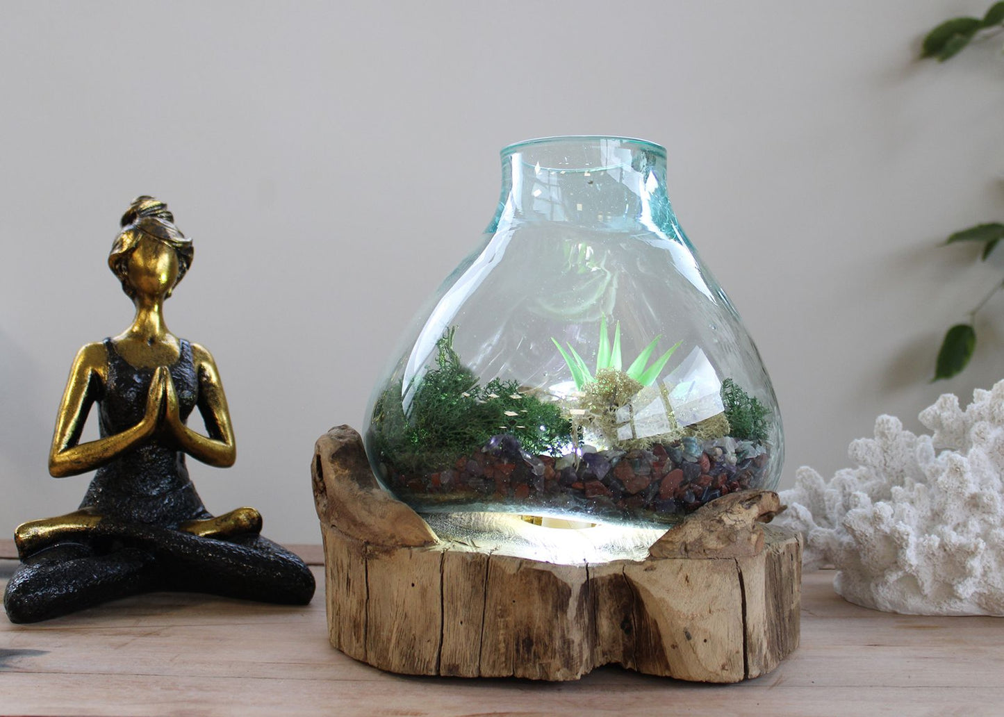 Molten Glass Large Fish Tank on Driftwood | 3.7 Litre | Light Cavity | UK LED Bulb | 30cm | New