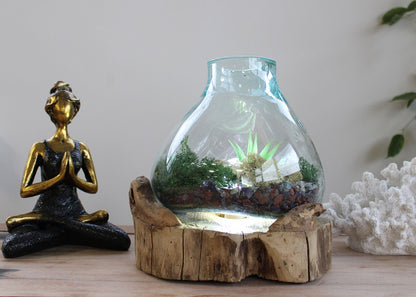 Molten Glass Large Fish Tank on Driftwood | 3.7 Litre | Light Cavity | UK LED Bulb | 30cm | New