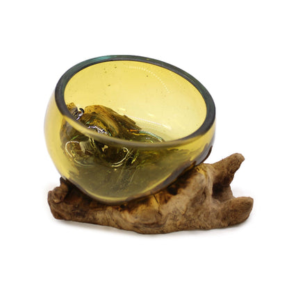 Molten Glass Mini Amber Bowl on Driftwood | Handmade in Bali | 12x6x7cm | New