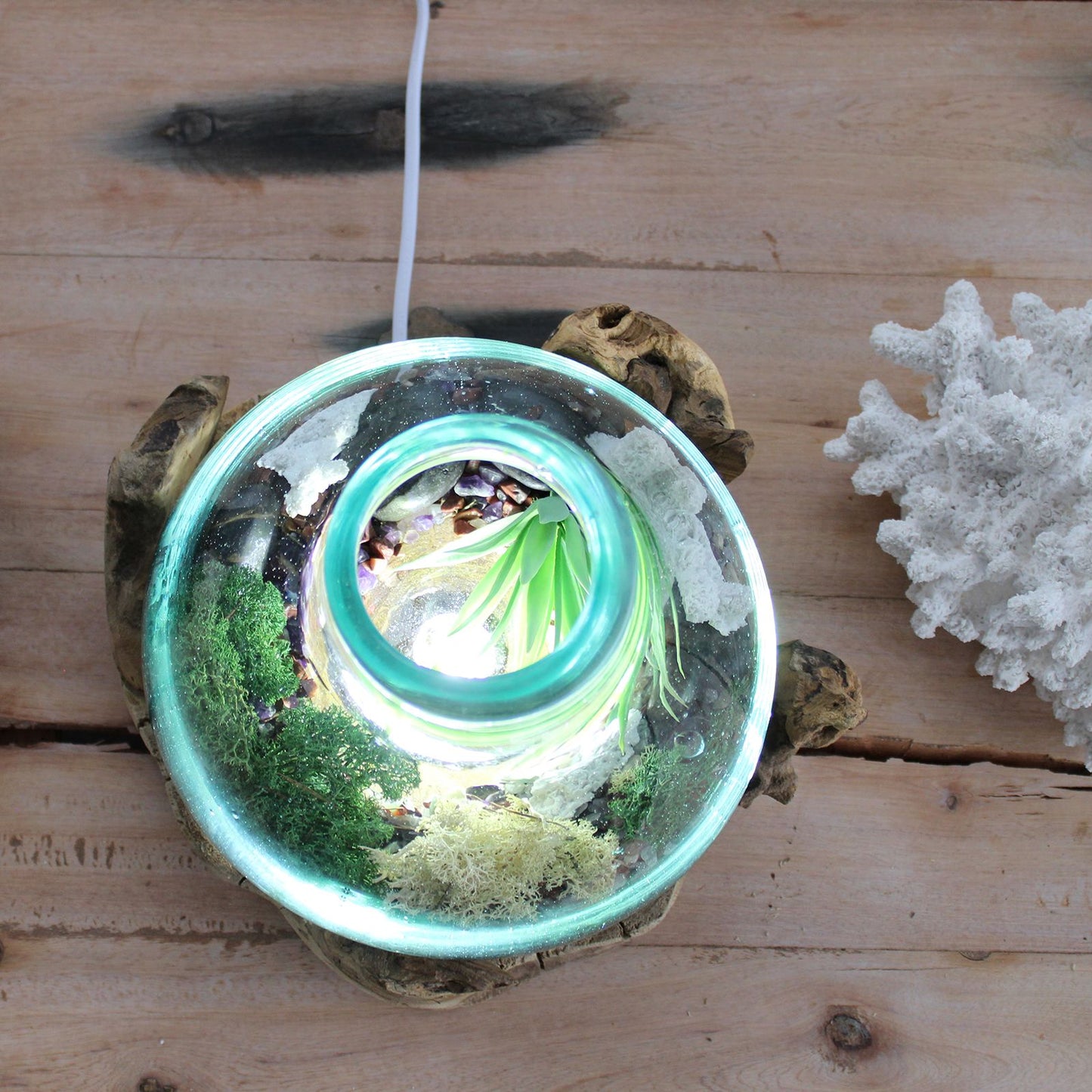 Molten Glass Large Fish Tank on Driftwood | 3.7 Litre | Light Cavity | UK LED Bulb | 30cm | New