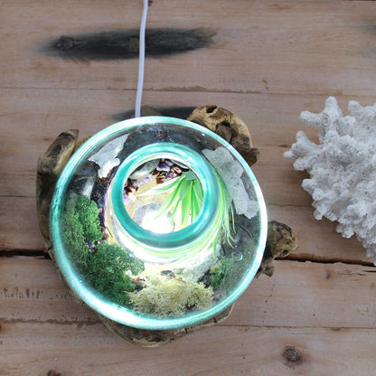 Molten Glass Large Fish Tank on Driftwood | 3.7 Litre | Light Cavity | UK LED Bulb | 30cm | New