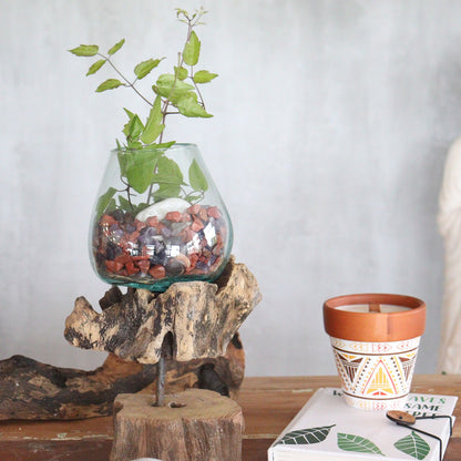 Molten Glass Medium Bowl on Driftwood with Stand | Handmade in Bali | 25x14x10cm | New