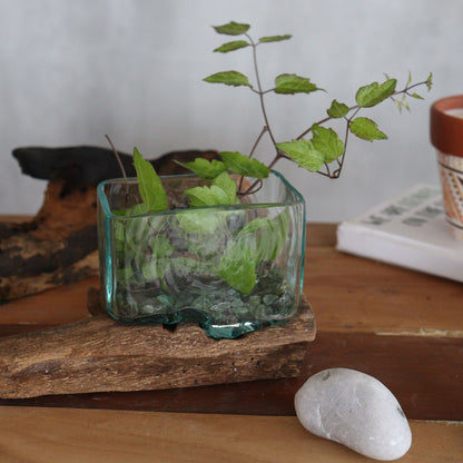 Molten Glass Tank on Driftwood with Stand | Small Bowl | Handmade in Bali | 9x14.5x5.5cm | New