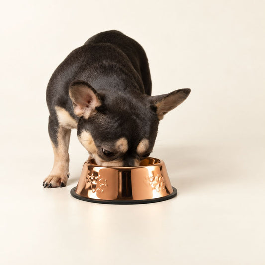 Copper Style Dog Bowl 18cm