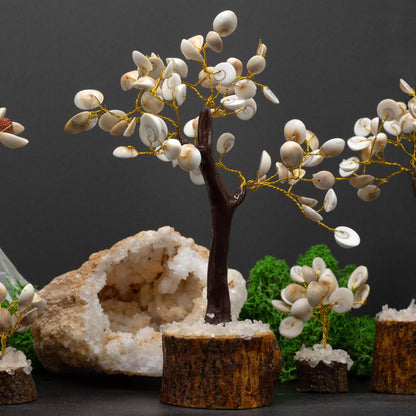 Gomati Chakra Circle Stone Tree | Large | 60 Stones | 18x13cm | New