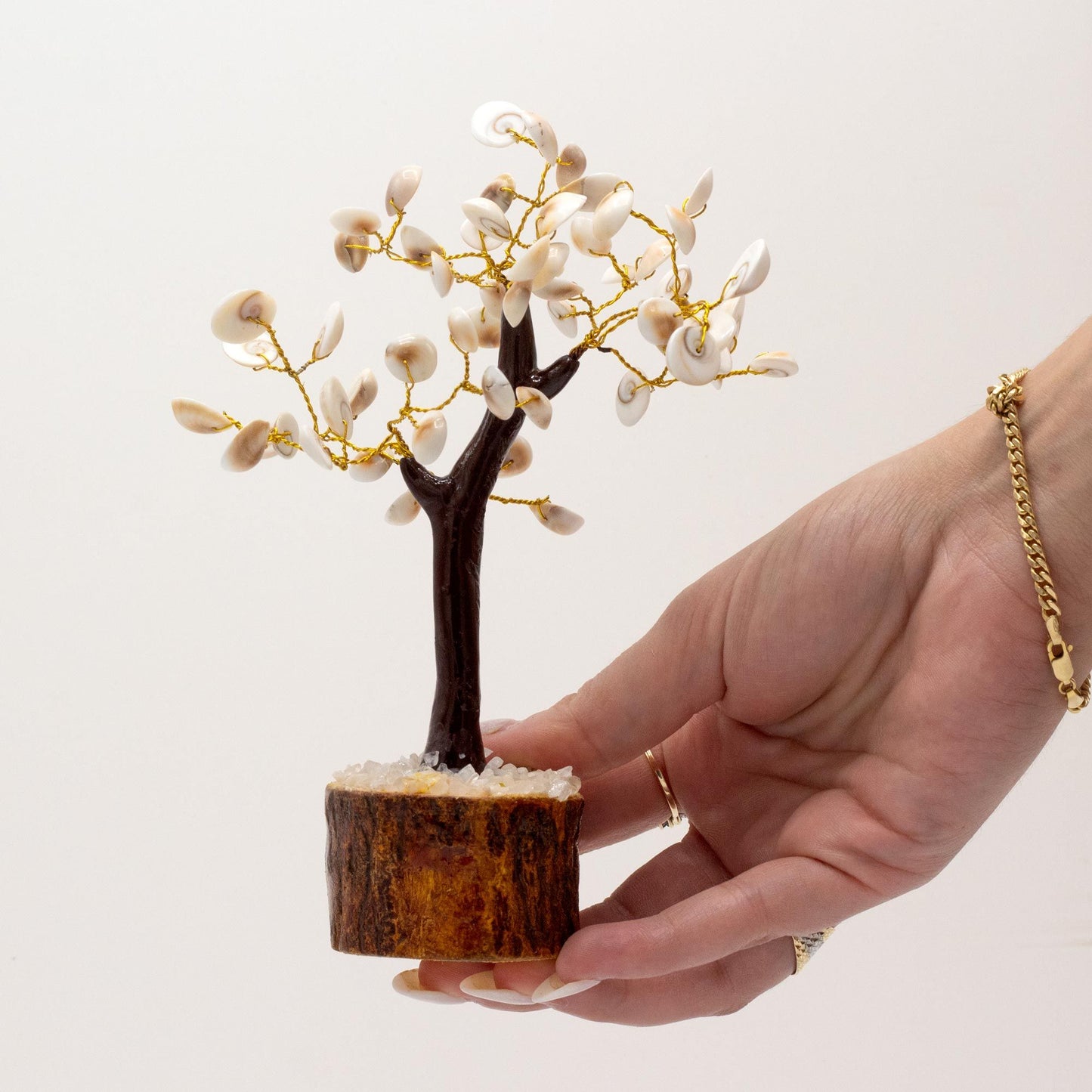 Gomati Chakra Circle Stone Tree | Large | 60 Stones | 18x13cm | New