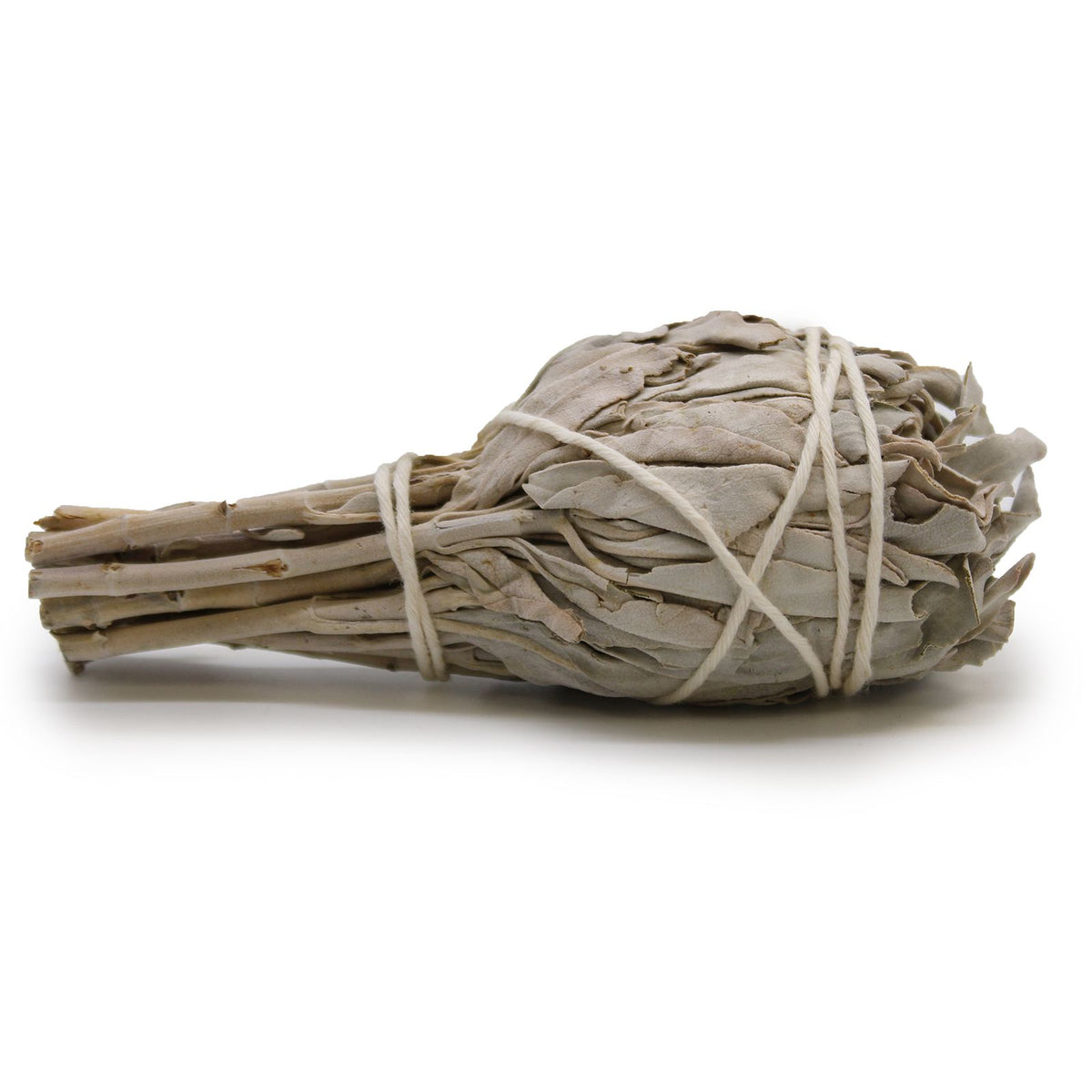 White Sage Torch Smudge Stick 10cm | Wellness Gift | Thick Torch Bundle