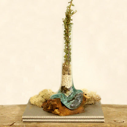 Molten Glass Vase on Driftwood | Handmade Balinese Art | 15.5x22x28cm | New
