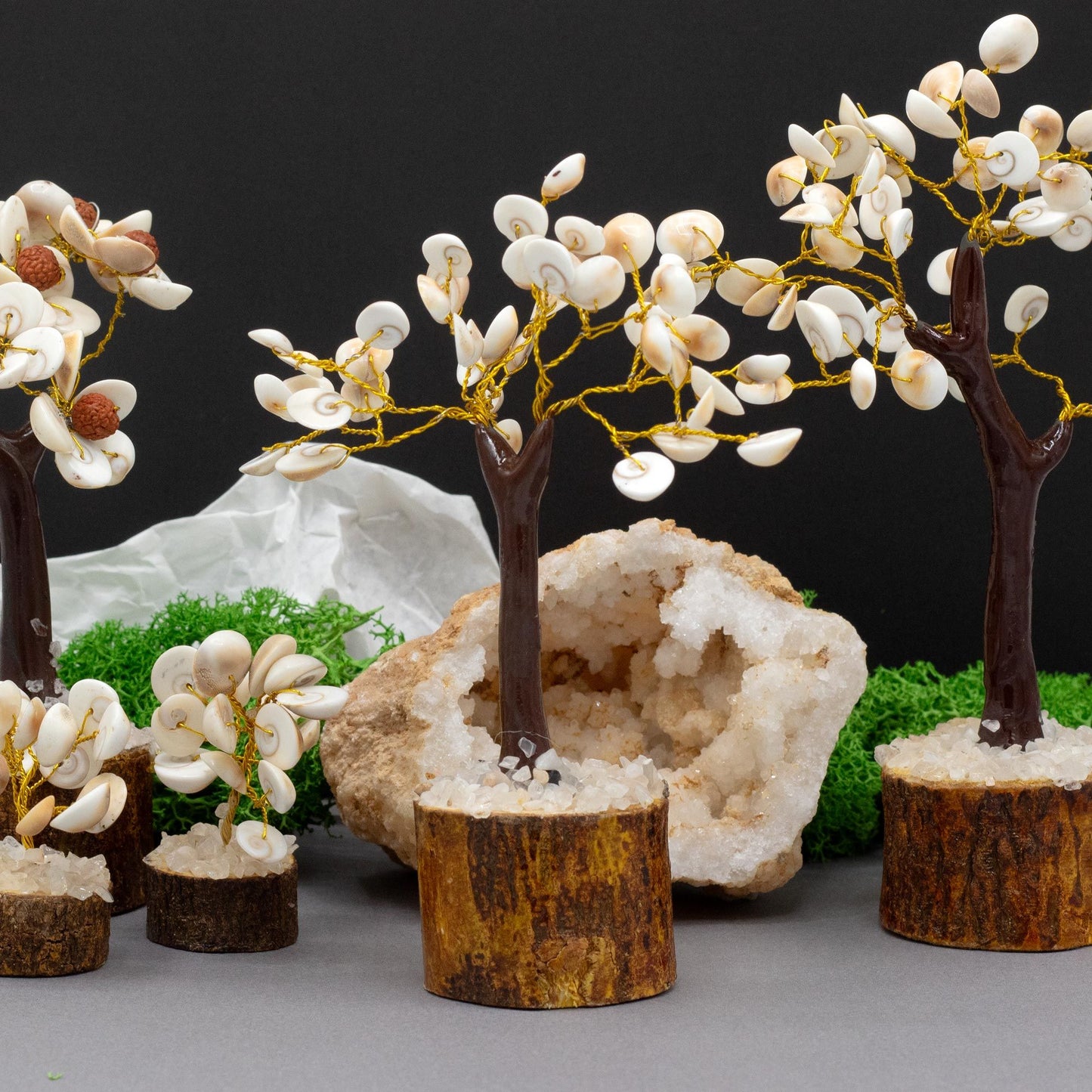 Gomati Chakra Circle Stone Tree | Medium | 45 Stones | 15x10cm | New