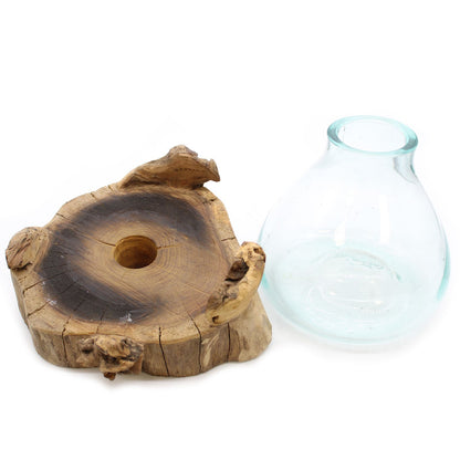 Molten Glass Large Fish Tank on Driftwood | 3.7 Litre | Light Cavity | UK LED Bulb | 30cm | New