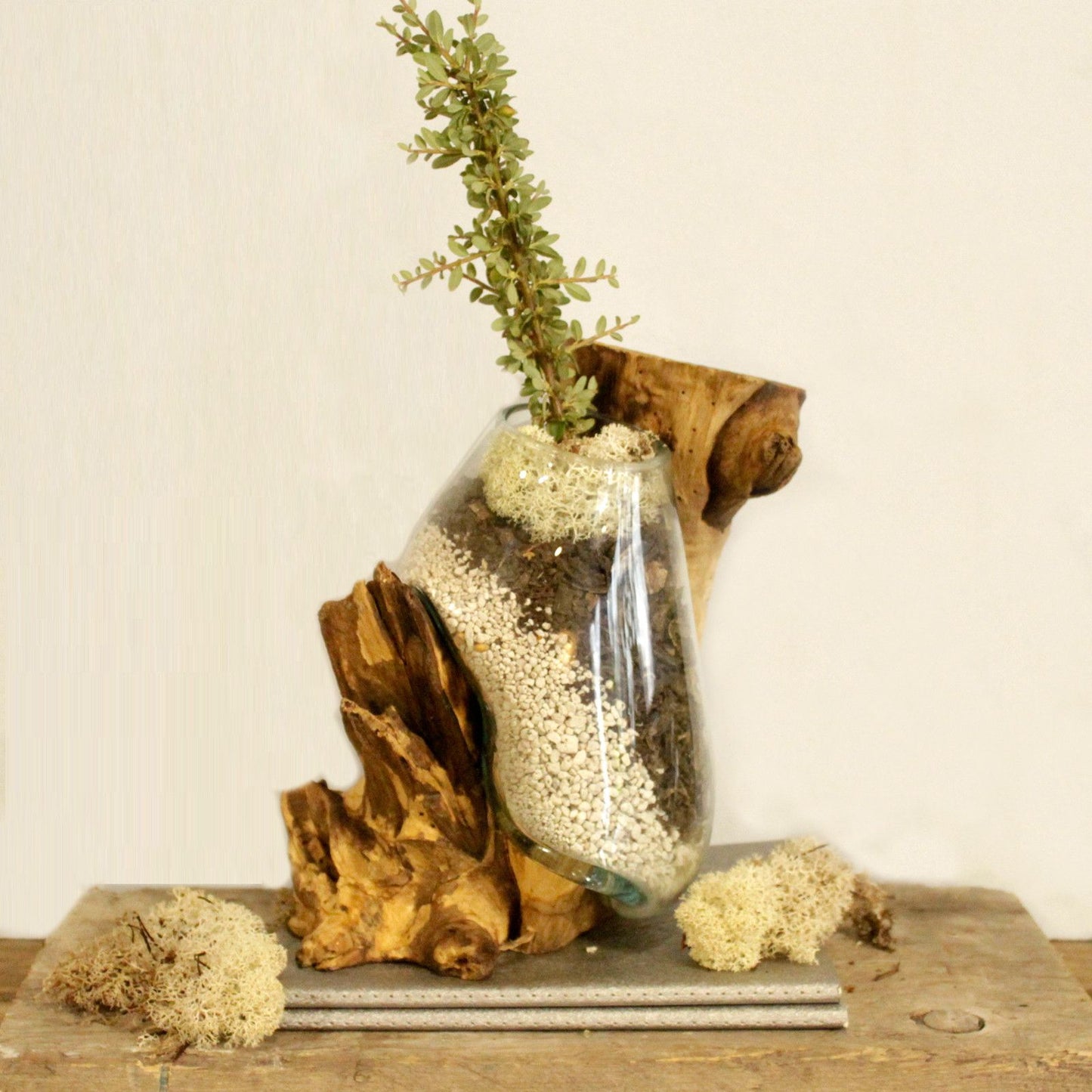 Molten Glass Hanging Bowl on Driftwood | Handmade Balinese Art | 15x24x24cm | New