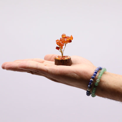 Mini Carnelian Gemstone Tree on Wood Base | 15 Stones | 4x3x6cm | New