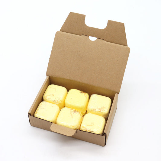 Focus Booster Aromatherapy Shower Steamers