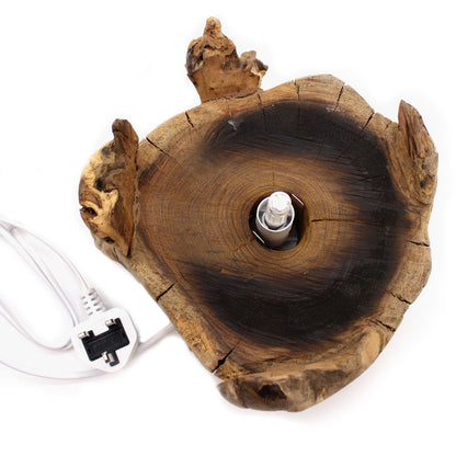 Molten Glass Large Fish Tank on Driftwood | 3.7 Litre | Light Cavity | UK LED Bulb | 30cm | New