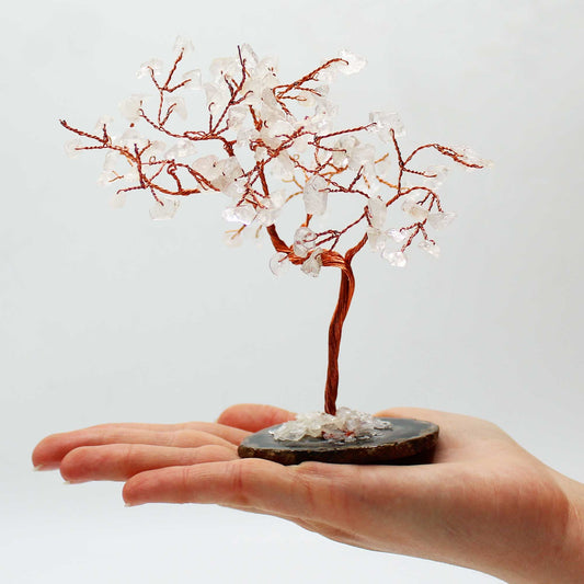 Rock Quartz Large Gemstone Tree on Black Agate Base | 100 Stones | 9x5x13cm | New