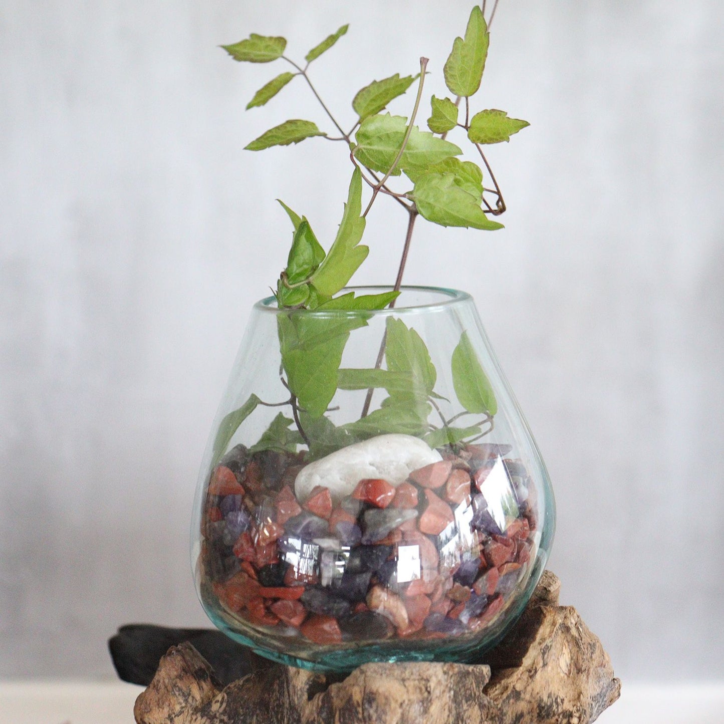 Molten Glass Large Bowl on Driftwood with Stand | Handmade in Bali | 25x19x15cm | New