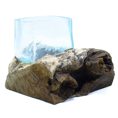 Molten Crackled Glass Tank on Driftwood | Handmade Balinese Art | 2.5kg | New
