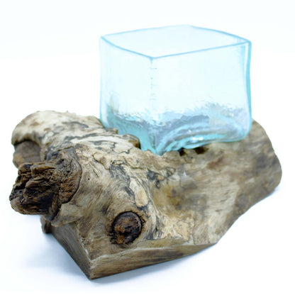 Molten Crackled Glass Tank on Driftwood | Handmade Balinese Art | 2.5kg | New