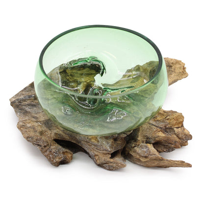 Recycled Beer Bottle Large Wide Bowl on Driftwood | Handmade Recycled Glass | 31x15x30cm | New